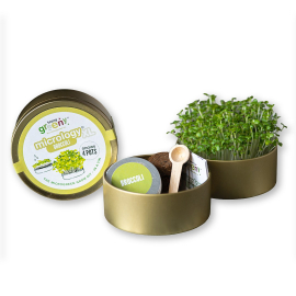 Image of the closed Broccoli grow tin on the left side and the 2 ends of the tin open to show its content, which includes the sprouting seedlings in one end, a small wooden spoon, the instructions booklet and the seed tin in the other end.