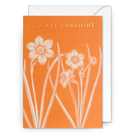Kew 'You Are Sunshine' Greeting Card