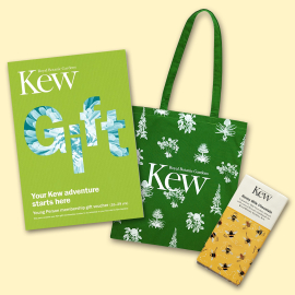 Young Person Gift Membership, Honey Milk Chocolate & Kew Green Tote Bag