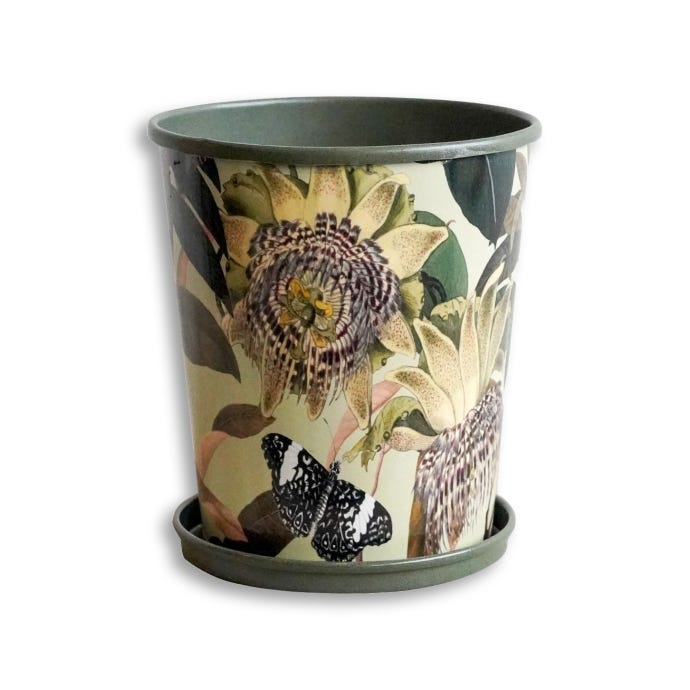 Kew Botanical Retreat Planter with Saucer, 16cm