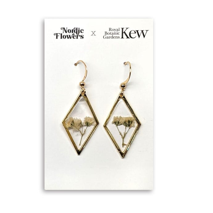 Babys Breath Earrings