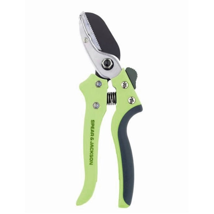 Image of the anvil secateurs