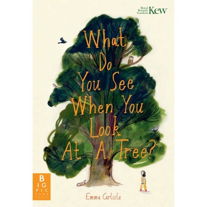 What Do You See When You Look at a Tree?