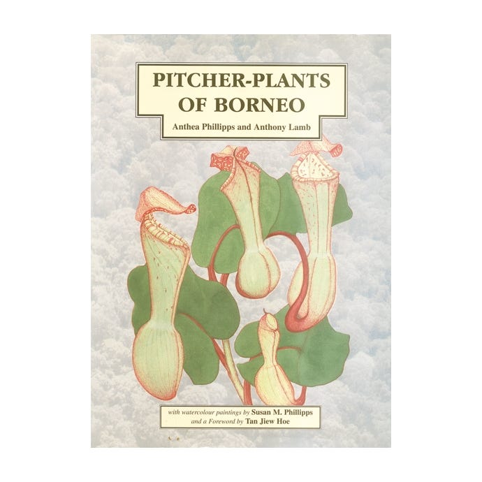 Pitcher-Plants of Borneo