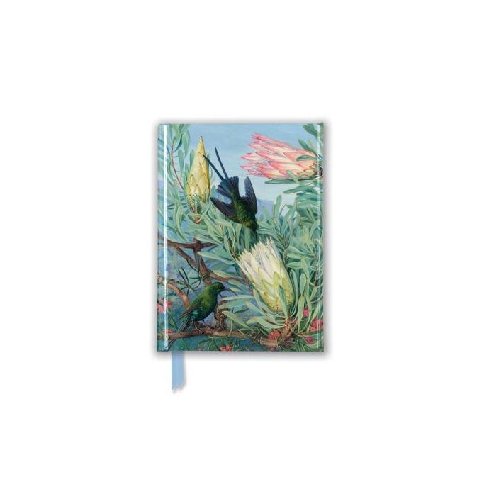 Honeyflowers hummingbird print notebook
