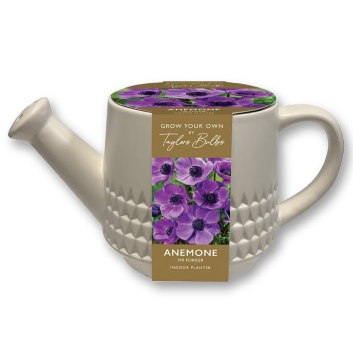 Grow Your Own Anemone Watering Can