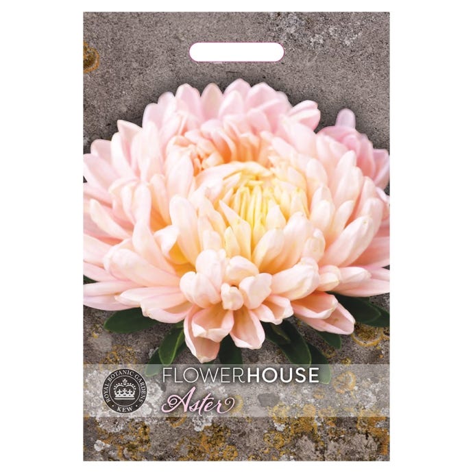 Kew Callistephus Aster 'Classic Salmon Rose' Seeds