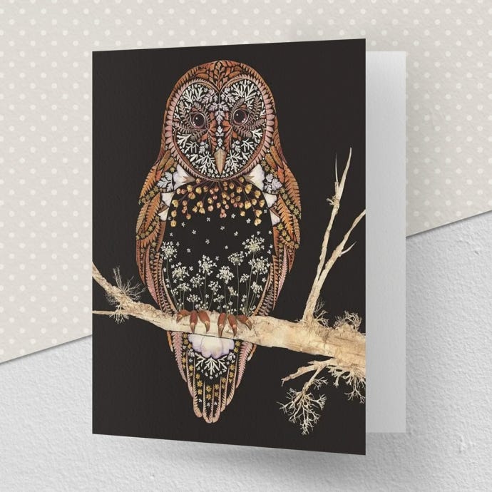 Barn Owl Greeting Card