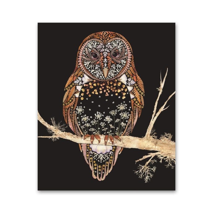 Barn Owl Greeting Card