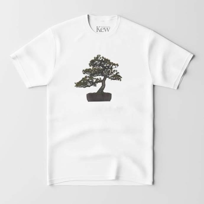 Kew Bonsai T-shirt, assorted sizes