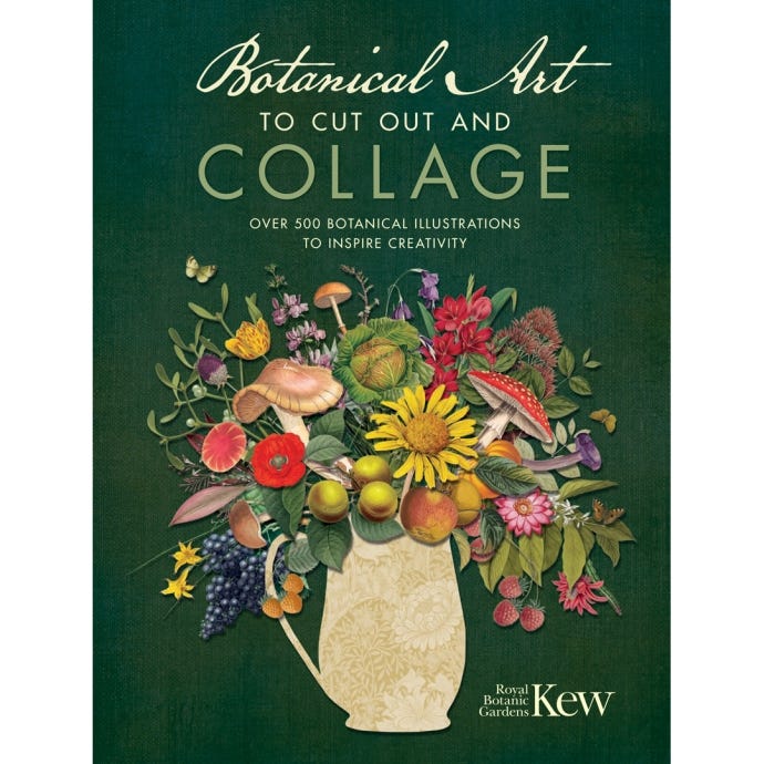 Botanical Art to Cut Out and Collage - cover