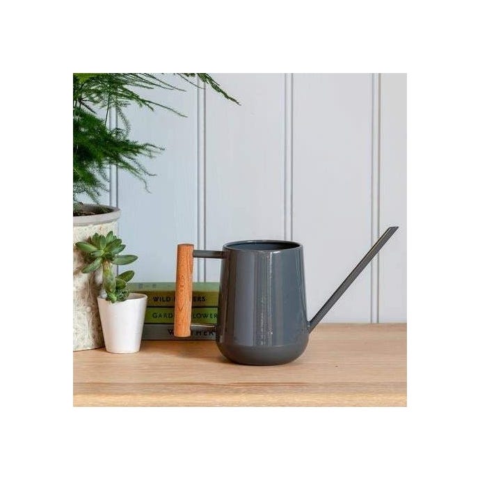 Indoor Watering Can
