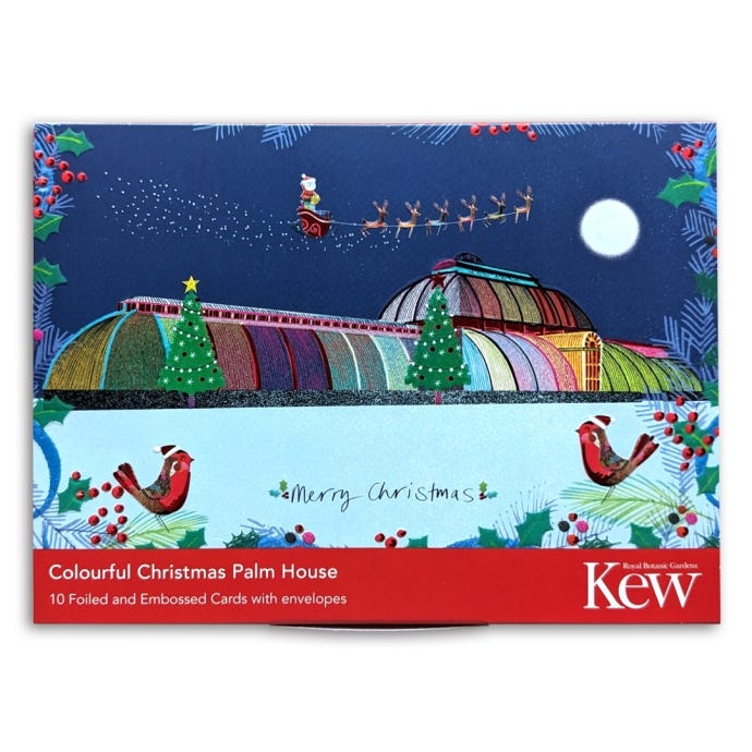 Christmas Cards Pack Colourful Palm House