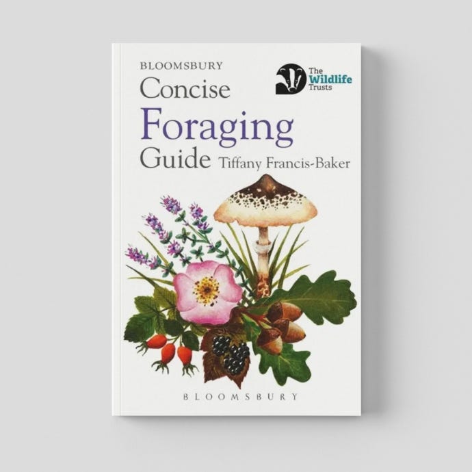 Concise Foraging Guide - cover