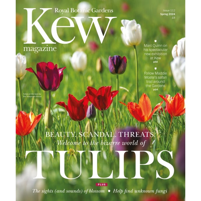 Spring 2024 - cover