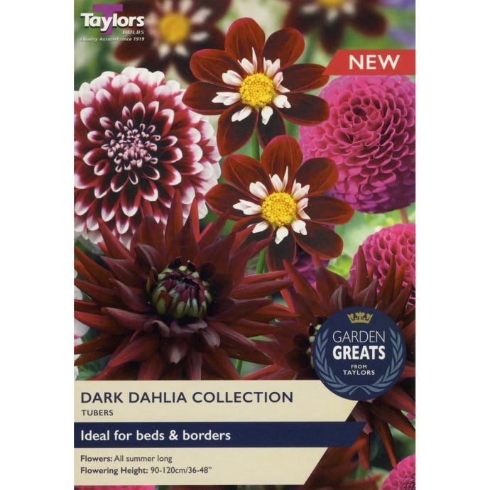 Dark Dahlia Tubers Collection