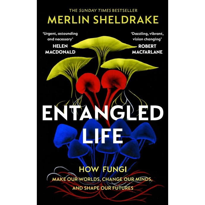 Front cover of the book, with black background and fungi in the forground