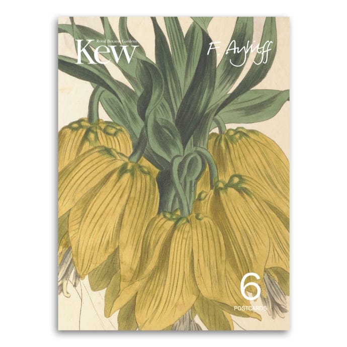 Felicity Aylieff Kew Archive Inspo Concertina Postcards