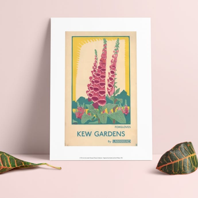 Foxgloves at Kew Gardens TFL A4 Print