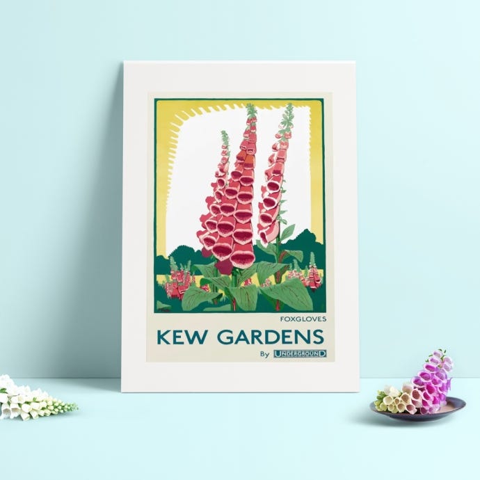Foxgloves at Kew Gardens TFL Print, 30 x 40cm