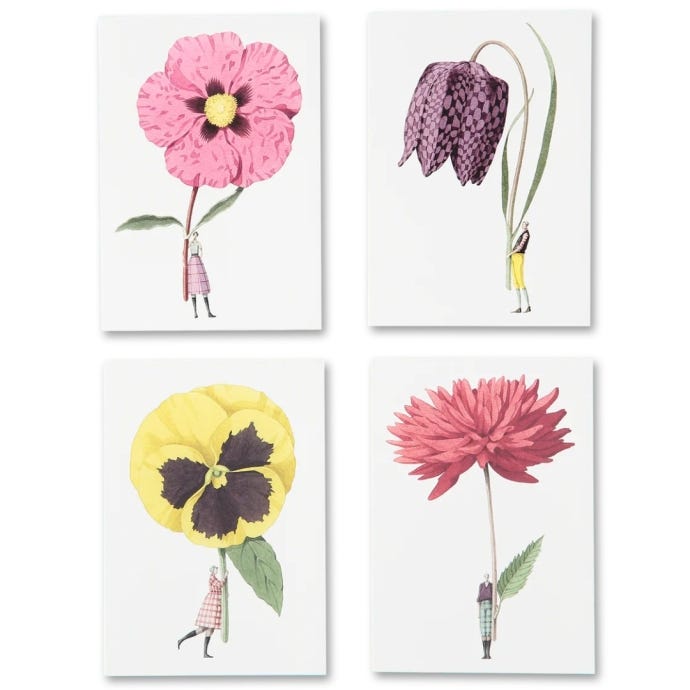 In Bloom Notecards Set