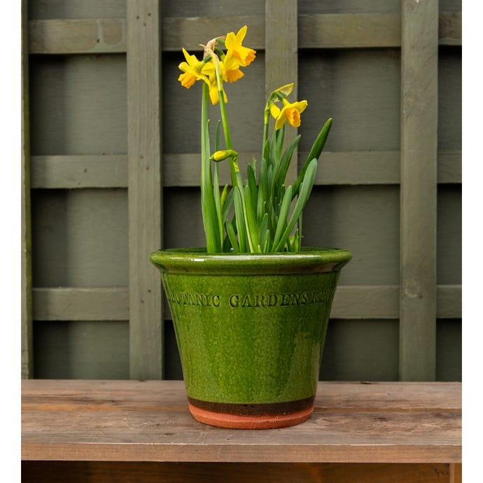 Lifestyle image of the Green Glazed Pot