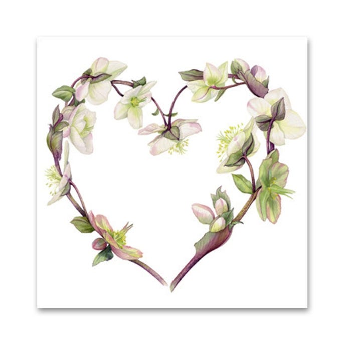 Billy Showell Hellebore Heart Greeting Card