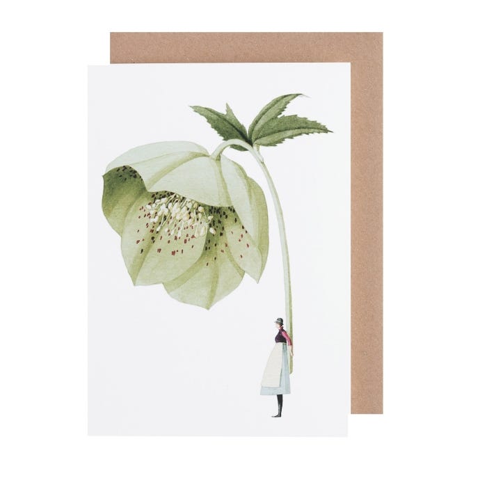 Hellebore Card