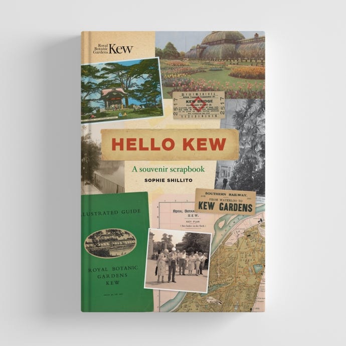Hello Kew - cover