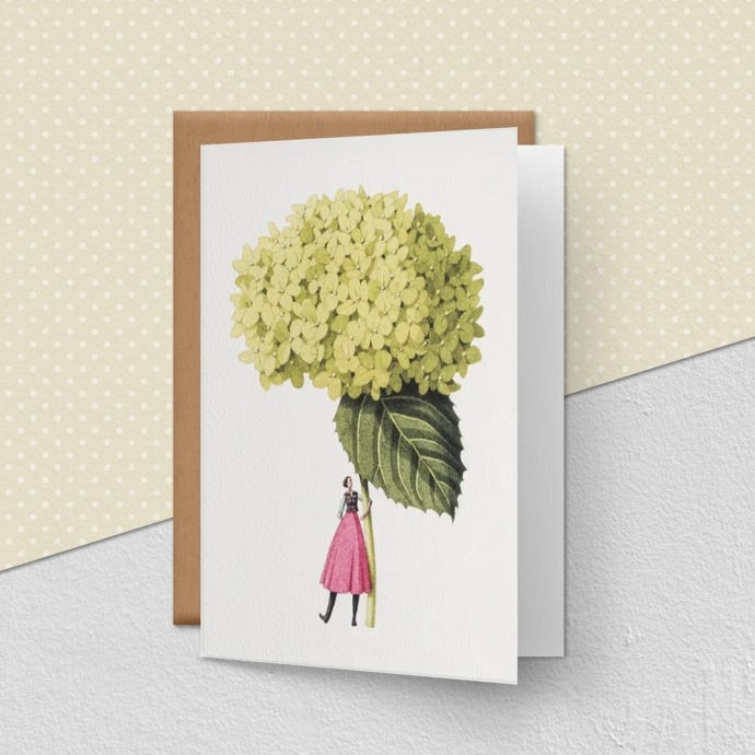 Hydrangea Annabelle Greeting Card