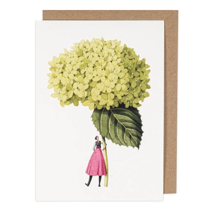 Hydrangea Annabelle Greeting Card