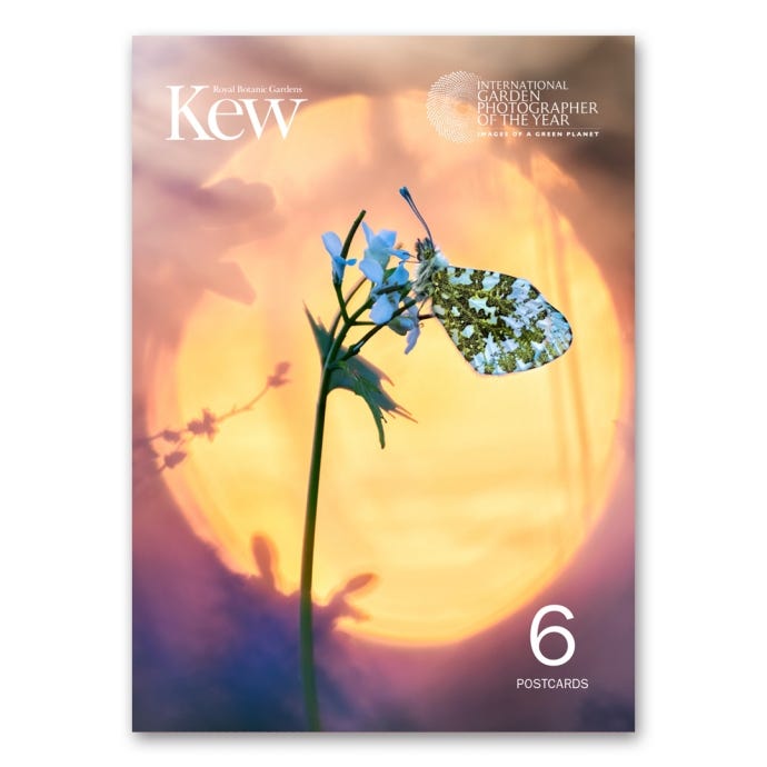 IGPOTY Collection 2024 Concertina Postcards, front cover