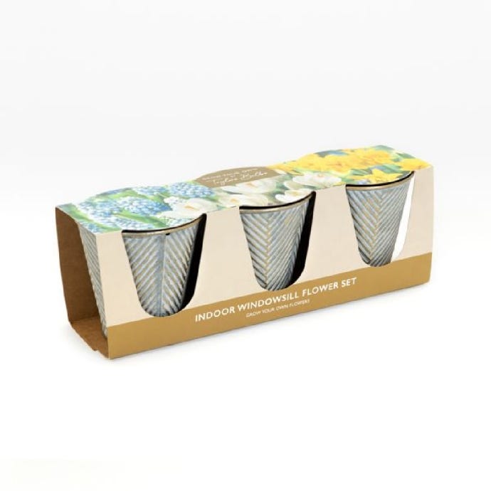 Indoor Spring Flower Bulbs Trio