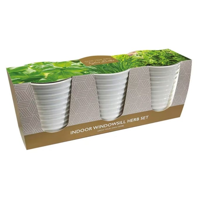 Indoor Windowsill Herb Set