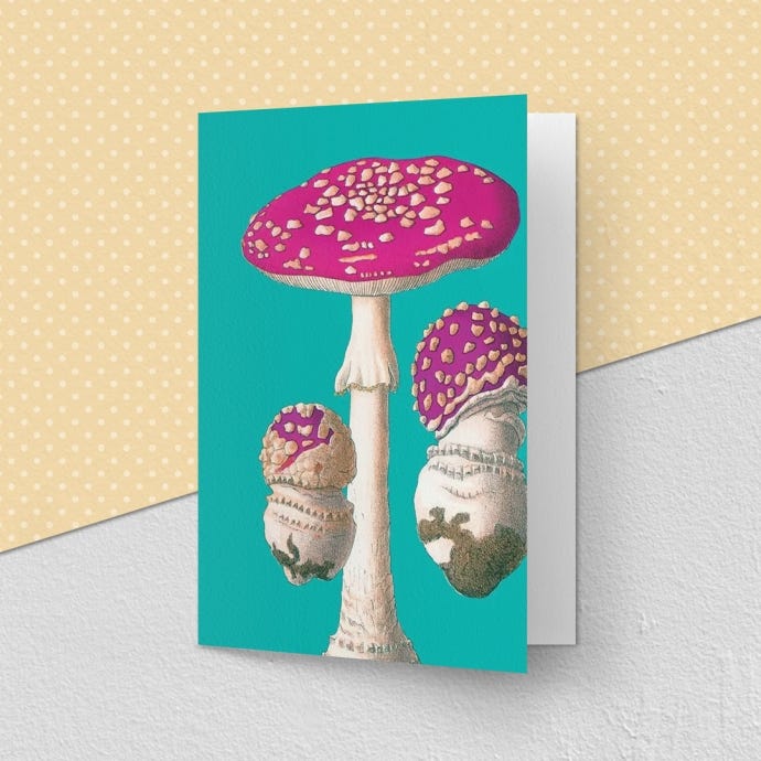 Kew Fly Agaric Greeting Card