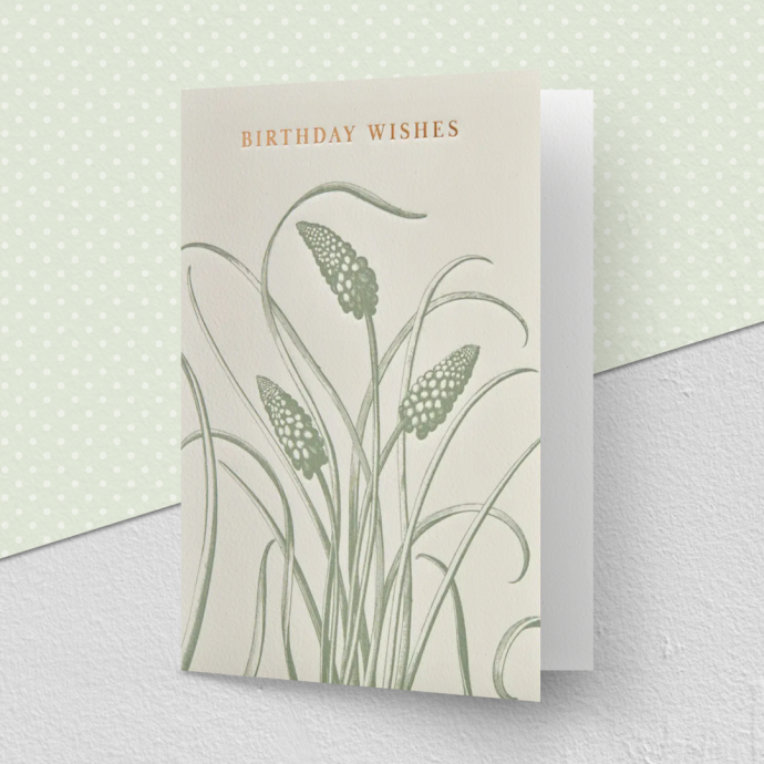 Kew Birthday Wishes Card
