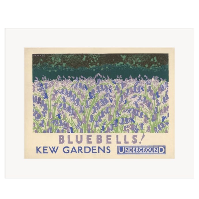 A3 Print featuring the Bluebells at Kew