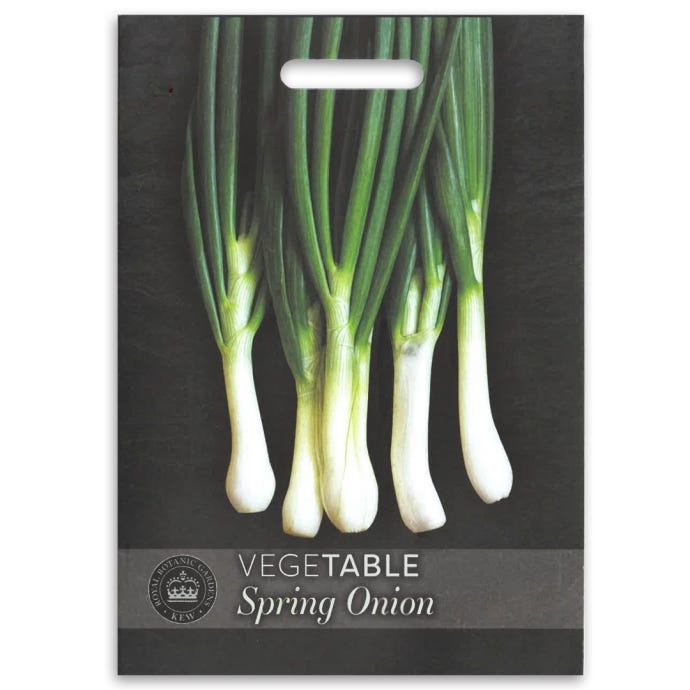 Kew Spring Onion 'Ishikura' Seeds