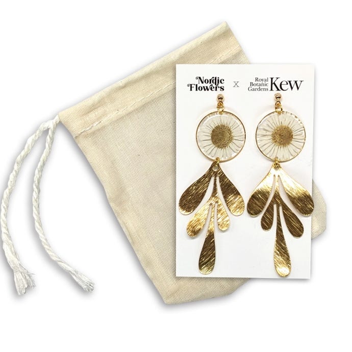 Kew x Nordic Flowers Earrings, Daisy Teardrops