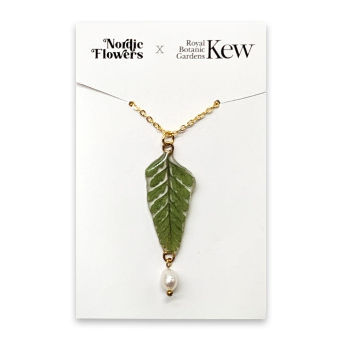 Kew x Nordic Flowers Necklace, Fern & Pearl