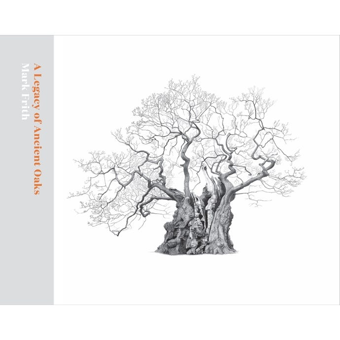 A Legacy of Ancient Oaks - Cover