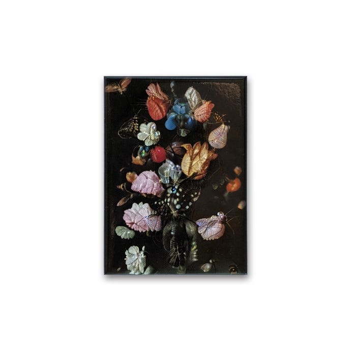 Mat Collishaw Magnet, Senseless Universe