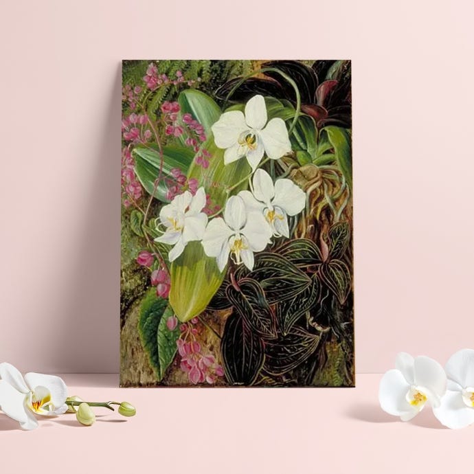 Marianne North Moth Orchid Print
