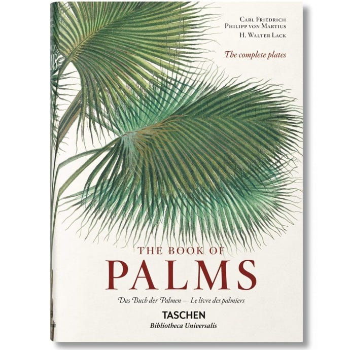 Martius, The Book of Palms, cover
