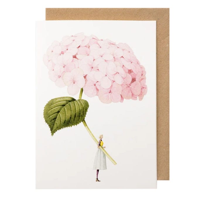 Pale Pink Hydrangea Greeting Card