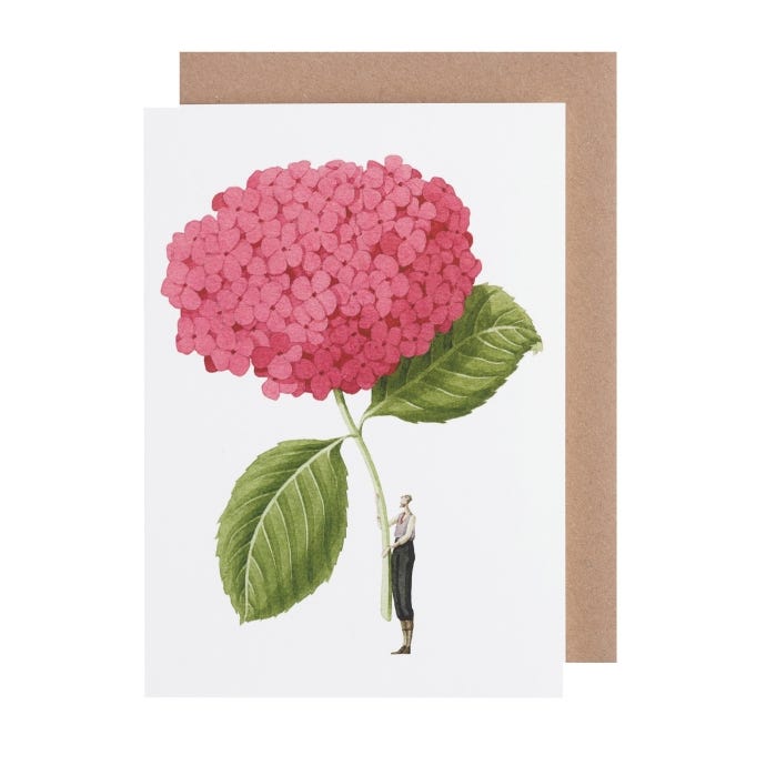 Pink Hydrangea Card