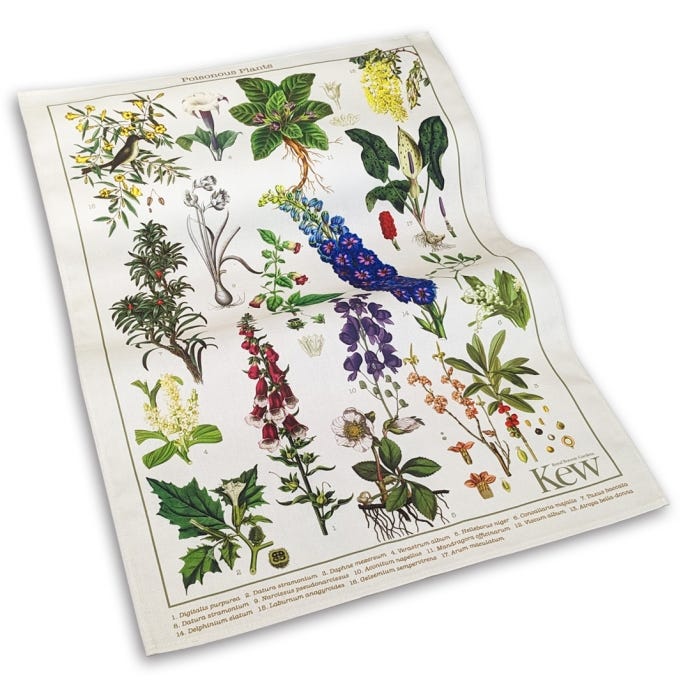 Kew Poisonous Plants Tea Towel