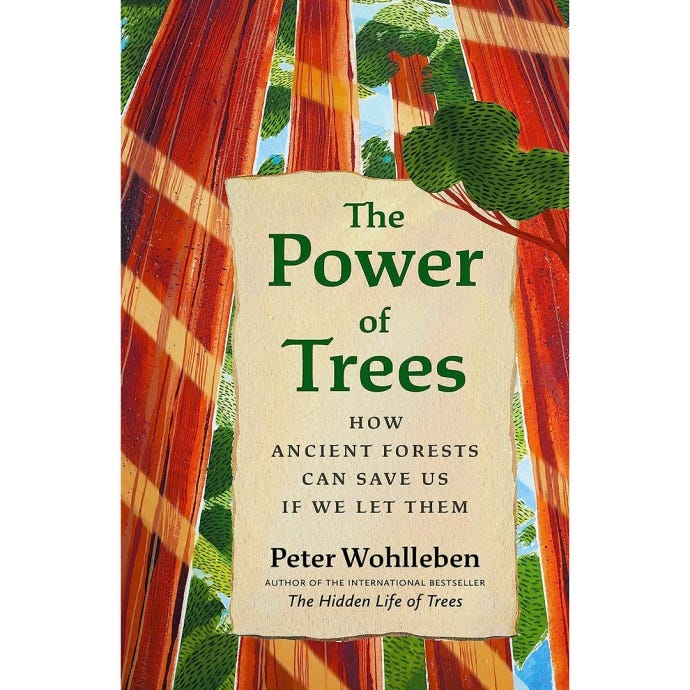 The Power Of Trees