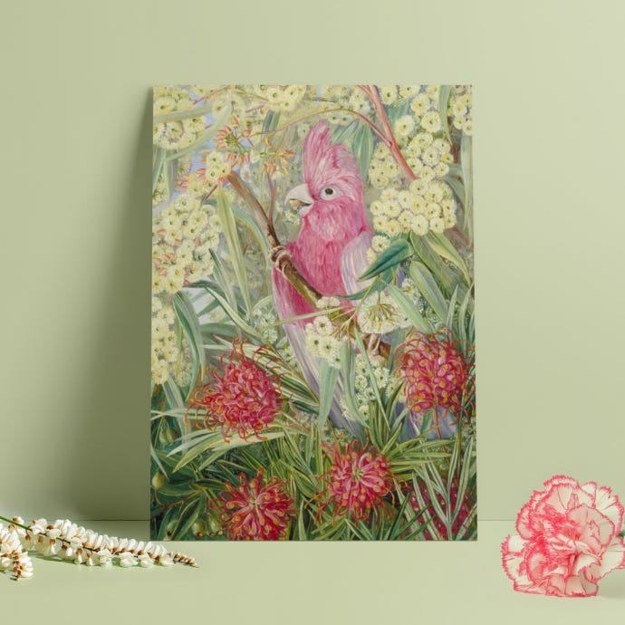 Marianne North A3 Print, West Australian Vegetation