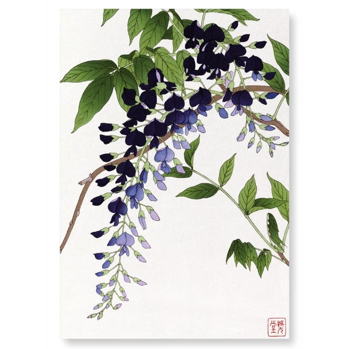 Purple Wisteria A3 Print